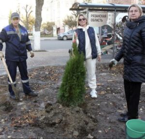 Озеленение сквера