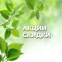 Саженцы в Рязани купить